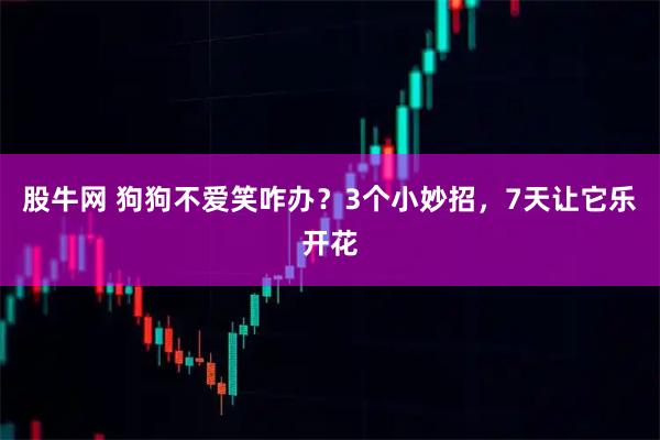 股牛网 狗狗不爱笑咋办？3个小妙招，7天让它乐开花