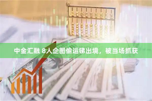 中金汇融 8人企图偷运锑出境，被当场抓获